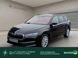 Skoda Octavia 1.5 TSI mHEV Selection *AHK*KESSY*SHZ* - Skoda Octavia Neuwagen in Bremen