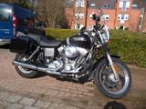 Harley-Davidson FXD Dyna Glide - HARLEY-DAVIDSON 2000 DYNA