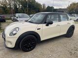 MINI Mini 1.5 Cooper D 116 Cv 5 porte Neopatentati - mit Diesel-Antrieb: Beige, Kleinwagen