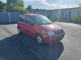 Fiat Panda 1.2 8V MyLive/ HU NEU/ Service NEU - gebrauchte Fiat Panda aus dem Jahr 2011