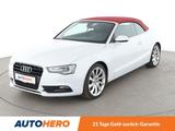 Audi A5 3.0 V6 TDI Aut.*NAVI*BI-XENON*PDC*SHZ*SLINE*  - Audi A5: Sline