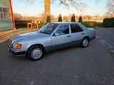 Mercedes-Benz  W124 Mopf 1 sehr guter Zustand  - Mercedes-Benz 230