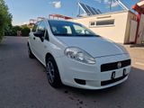 Fiat Grande Punto 1.2 8V Gepflegt,Klima,Scheckheft - Fiat Grande Punto: Weiß