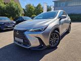Lexus NX 450h+ E-FOUR Executive-Paket - Lexus NX 450h: Head-Up Display