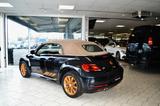 Volkswagen Beetle 2,0 TSI 16V - Cabriolet - Volkswagen Beetle in Hamburg