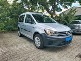 Volkswagen Caddy Maxi - Volkswagen Caddy Maxi: Privatanbieter