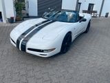 Corvette C5 5.7 Cabrio Autom. -Head-UP !! Promifahrzeug!!