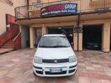 Fiat Panda 1.3 MJT 16V Dynamic - Fiat Panda Dynamic mit Diesel-Antrieb