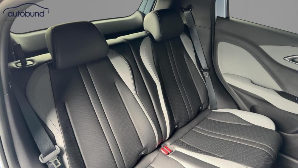 BYD DOLPHIN SURF