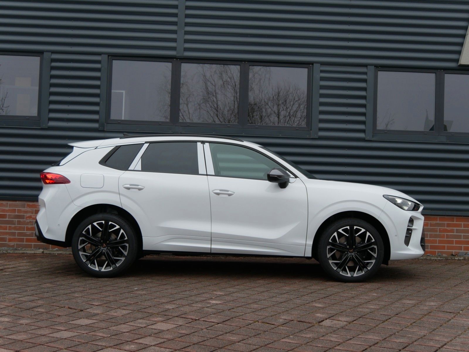 Cupra Terramar - Bild 12