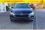 Skoda Octavia 1.5TSI DSG "130LET Premium" *Kessy*Ma... - Skoda Octavia Tageszulassungen