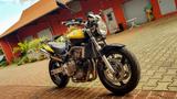 Honda Hornet CB600F - Offers matching your search criteria