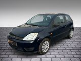 Ford Fiesta Viva X - Ford Fiesta: Viva X
