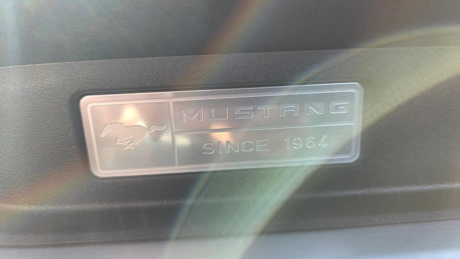 Ford Mustang GT Fastback 5.0 V8 421 ch BVA / 40 400 km / Premium Pack / Cuir ventilé / Caméra de recul