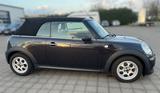 MINI ONE Cabrio One - MINI MINI: Braun