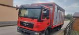 MAN TGL 8220 mit Neu Motor 96000km - MAN Tgl 8