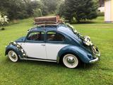 Volkswagen Käfer - Rarität