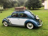 Volkswagen Käfer - Rarität - Offers matching your search criteria