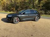 Audi SQ5 TDI tiptronic quattro - - Audi SQ5 in Wiesbaden