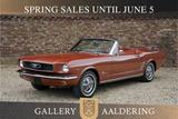Ford Mustang 289 Convertible PRICE REDUCTION Deluxe E - Ford Mustang Oldtimer: Roadster