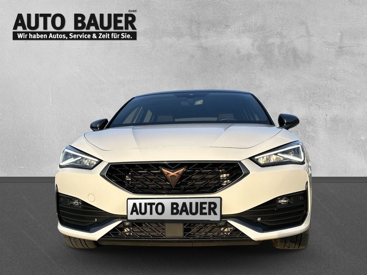 Fahrzeugabbildung CUPRA Leon 1.5 eTSI 150 PS DSG