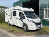 Fleurette Magister 67 LO  - Offers