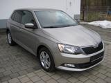 Skoda Fabia Ambition 1.2 TSI - Top Zustand! - Skoda Fabia: Beige