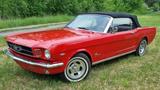 Ford 1965 Ford Mustang V8 Cabrio 289cui - Ford: 289