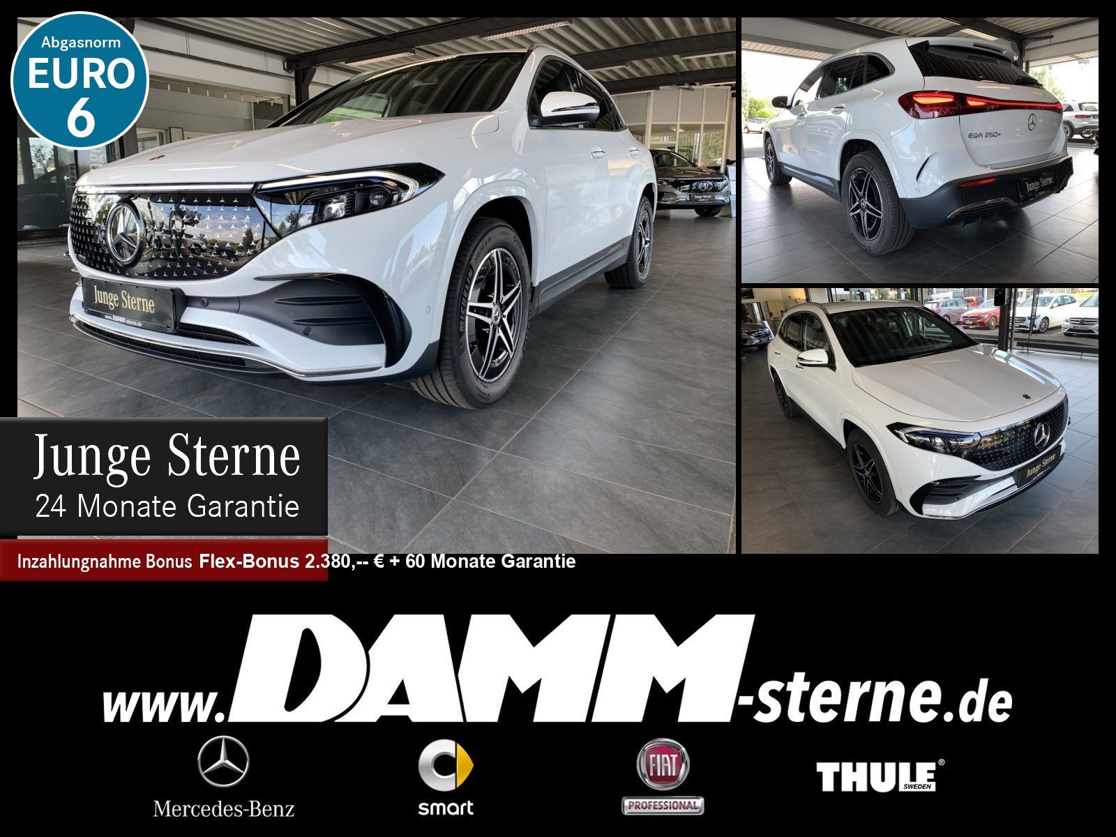 MERCEDES-BENZ EQA 250+ AMG Adv+/AHK/CarPlay/WDG/60 M GA + Flex