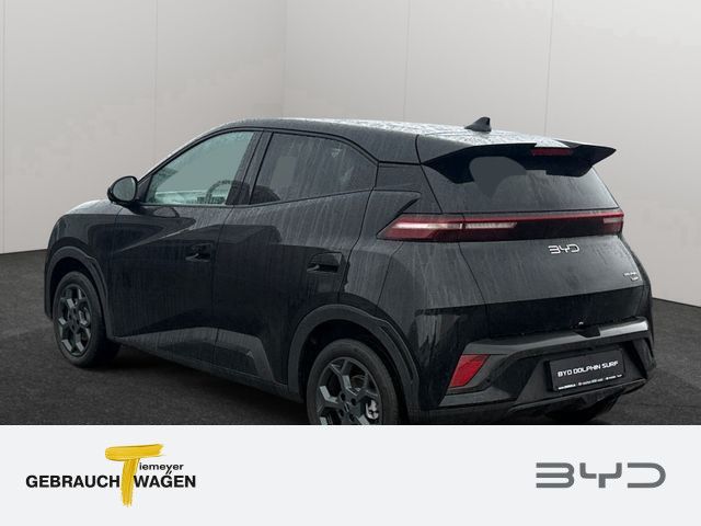BYD DOLPHIN SURF