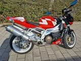 Aprilia Tuono  - Angebote