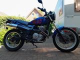 Honda SLR 650 - Offers matching your search criteria