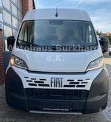 Fiat Ducato H2 Kastenwagen 35 L3H2 140 Multijet Hochd - Angebote