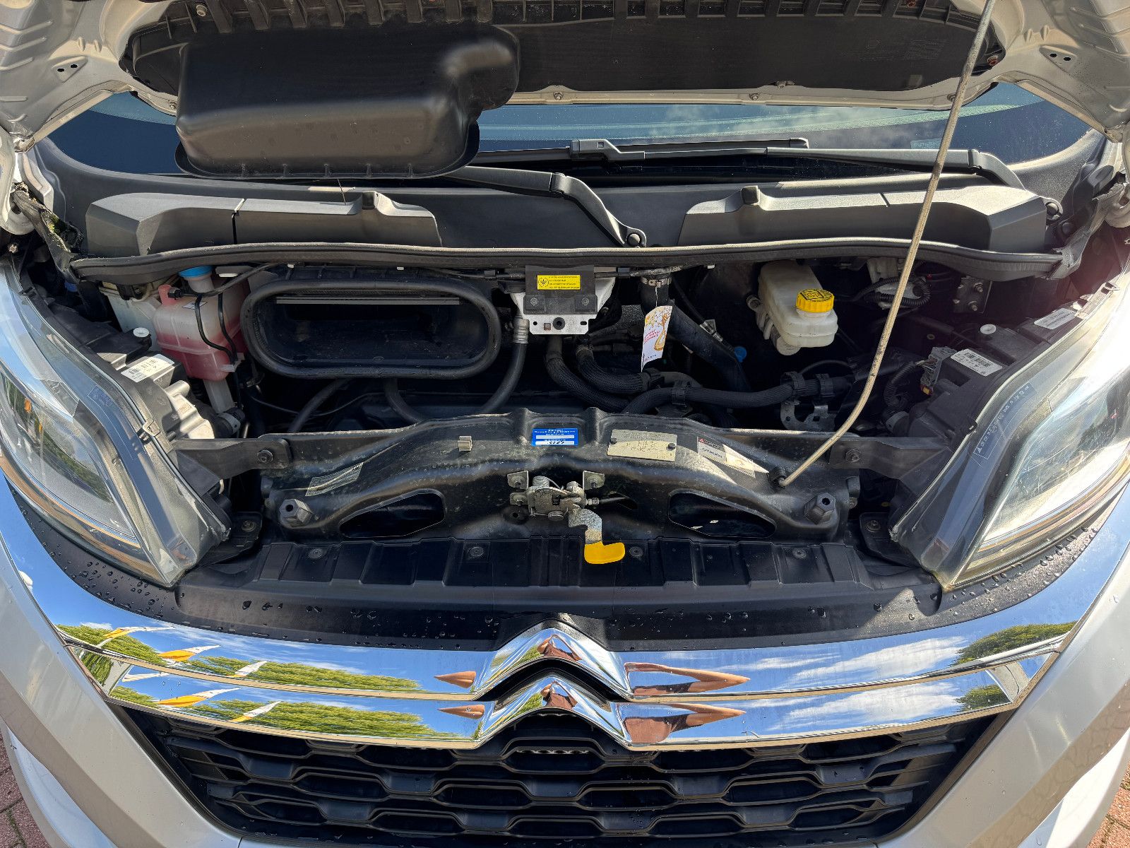 Fahrzeugabbildung Globecar GLOBESCOUT 600 CITROEN TV WC AHK KAMERA NAVI