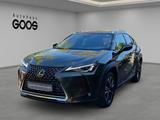 Lexus UX 250h Style Edition Navi LED ACC Apple CarPlay - Lexus UX aus 2022