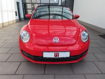 Volkswagen Beetle - 2