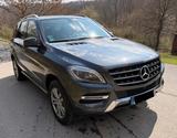 Mercedes-Benz ML 350 BlueTEC 4MATIC- 8-fach bereift TÜV 10/27 - graue Mercedes-Benz ML-Klasse