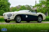 Austin Healey Andere100/4 BN1, 1953