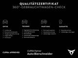 Cupra Terramar VZ 2.0 TSI 4Drive DSG 20 PANO AHK SENNH - Cupra Terramar mit Panoramadach