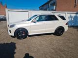 Mercedes-Benz ML 350 cdi Bluetec Amg Paket ab Werk - Mercedes-Benz ML 350 in Duisburg
