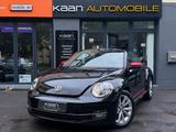 Volkswagen Beetle 1.2 Cabrio/CLUB/1HAND/NAVI/SHZ/PDC/TEMPO - Volkswagen Beetle CLUB mit Benzin-Antrieb
