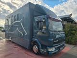 DAF AE 45 LF Pferdetransporter - Offers