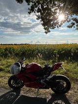 Ducati Panigale V2 - Offers matching your search criteria