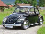 Volkswagen Käfer H-Zulassung + Wertgutachten