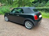 MINI Cooper Cabrio Cooper - MINI Cooper Cabrio von privat