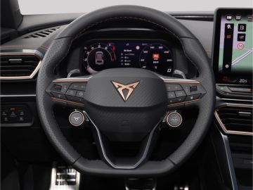Cupra Formentor VZ 2.0 TSI 4x4 DSG Pano AHK Kamera Mat