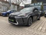 Lexus UX 250 h Luxury Line wenig KM*Vollausstattung - Lexus UX in München