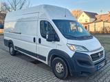 Fiat Ducato - Fiat Ducato in Halle