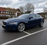 Jaguar XE 20d 180PS Portfolio Automatik  - Jaguar XE Portfolio mit Diesel-Antrieb