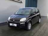 Fiat Panda 1.0 Hybrid -KLIMA-TEMPOMAT-PDC- - Fiat Panda mit Hybrid-Antrieb